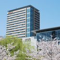 大学イメージ