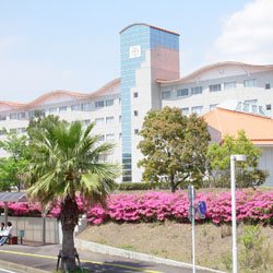 大学イメージ